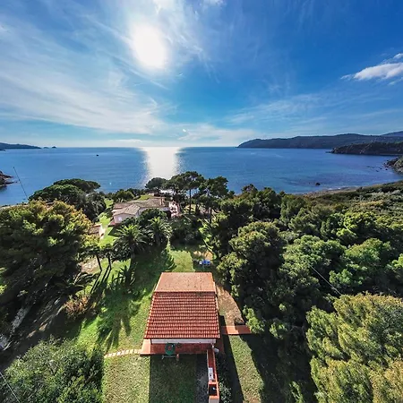 Norsi Capoliveri (Isola d'Elba)