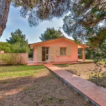 Norsi Capoliveri (Isola d'Elba)